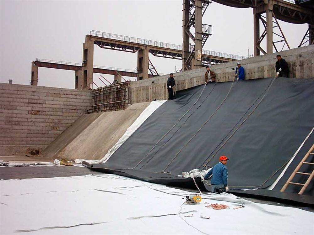 Top 10 Uniaxial Geogrid: Selecting the Best for Soil Reinforcement and Ground Stabilization