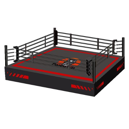 China Boxing Ring: A Closer Look at Its Growth and Global Impact